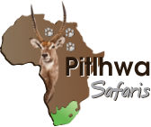 Pitlhwa Safaris Logo