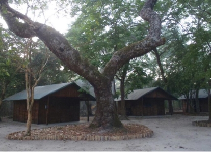 Pitlhwa Safaris - Mozabique These trees provide shade and coolness